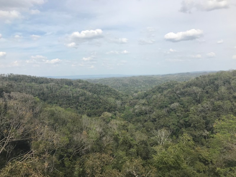 HKRw3bVgTrK%+JVdocjKBw