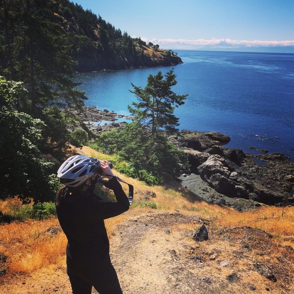San Juan Island whale watching