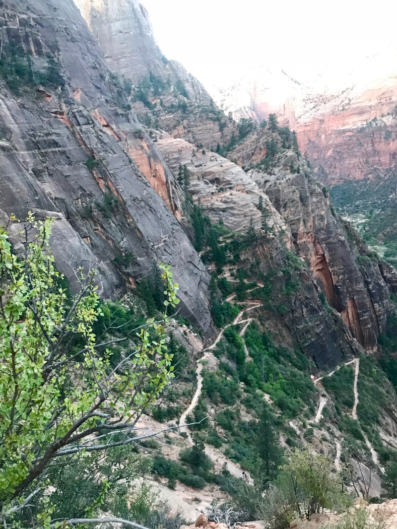 Observation-Point-Trail-Zion