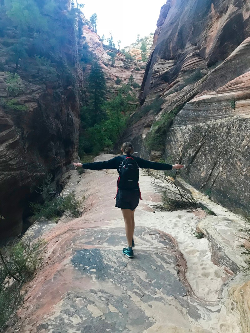 Observation Point-Trail-Zion-Flat