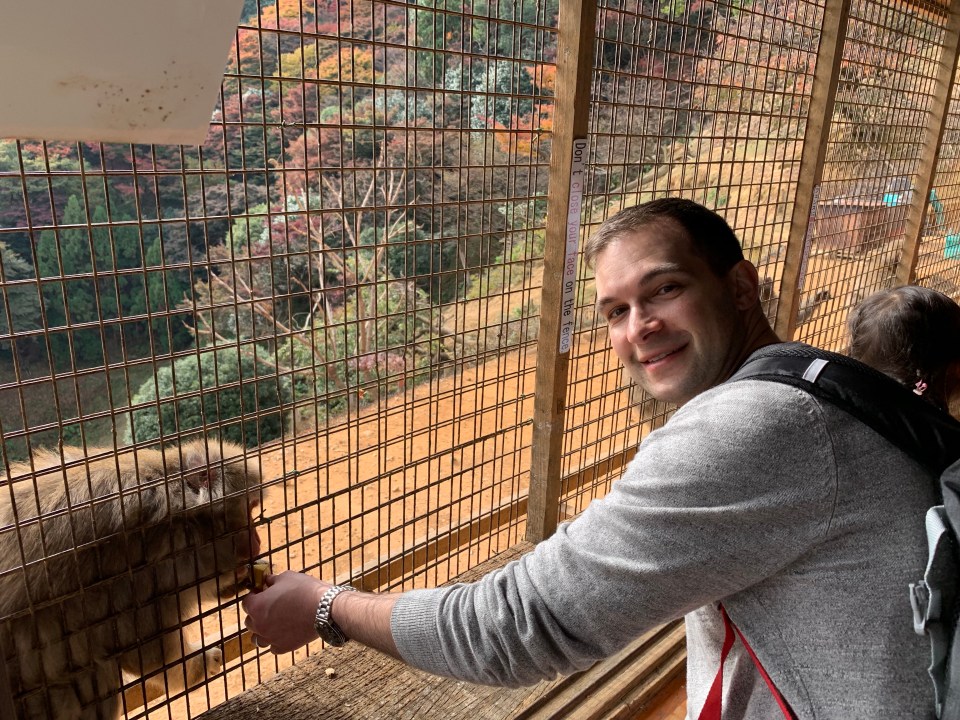 Feeding macaque monkey Arashiyama