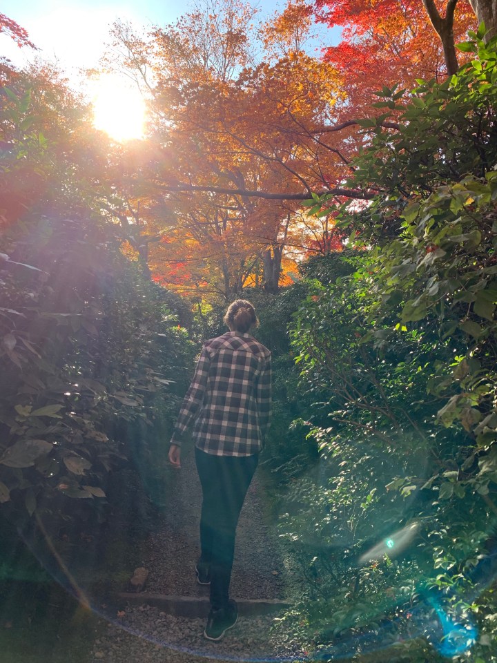 Okochi Sanso Villa gardens path