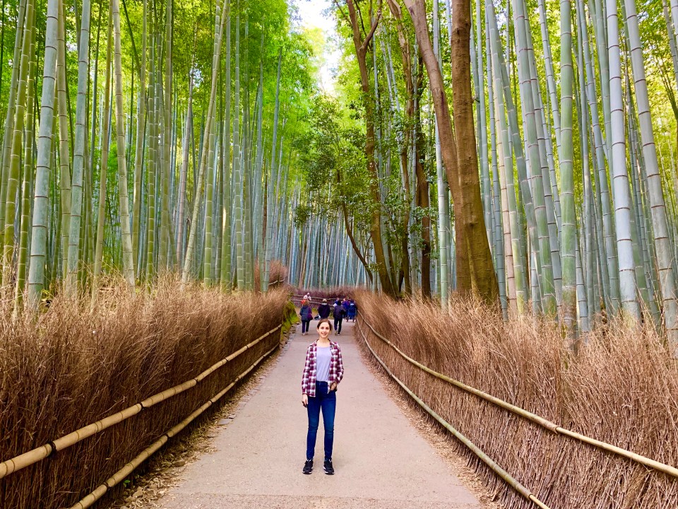 Arishayama Bamboo Forest Kyoto