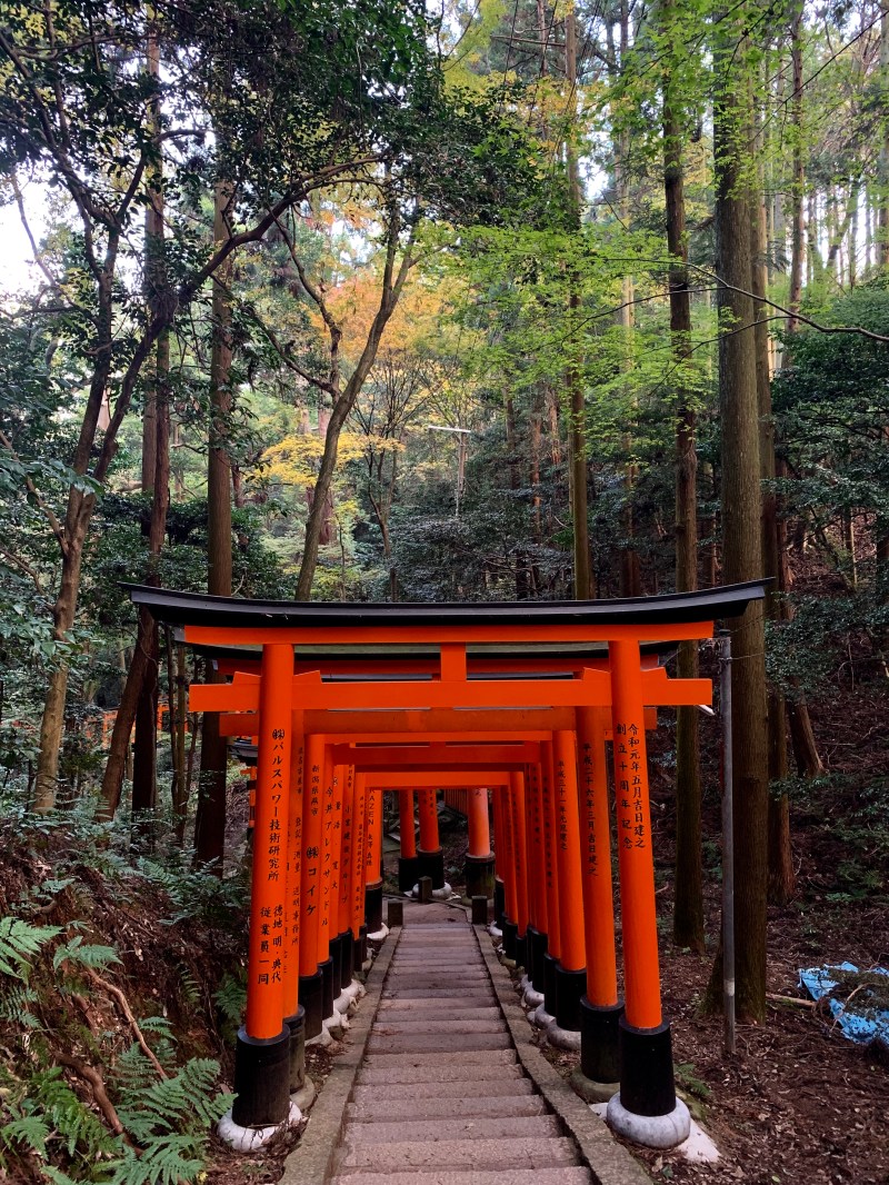 Fushimi Inari Shrine Torii Gates Kyoto